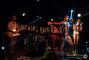 ZebraDots_18122012-4784.jpg