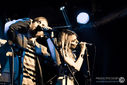 ZebraDots_18122012-4789.jpg