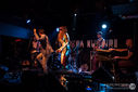 ZebraDots_18122012-4791.jpg
