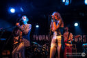 ZebraDots_18122012-4798.jpg