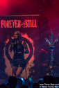 forever_stil-2746.jpg