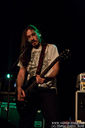 ignut_28229.jpg