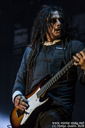 korn_28829.jpg