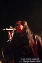 labyrinth_28229.jpg