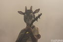 milking_the_goat_machine_28329.jpg