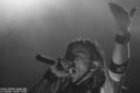 noctiferia_281129.jpg