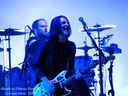 placebo05.jpg