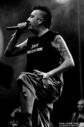 the_locos-14.jpg